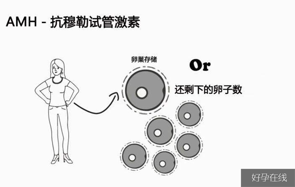 32岁做试管婴儿成功率高吗