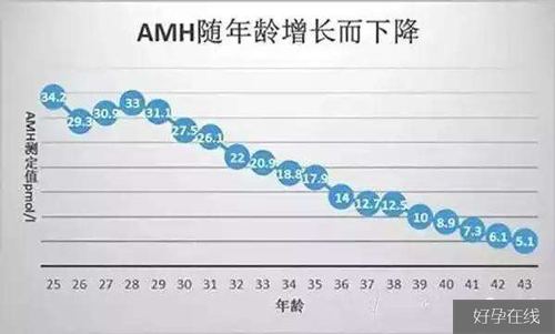 AMH的意义是什么?