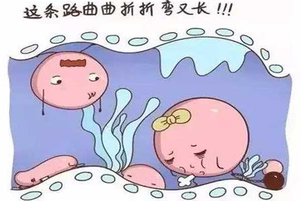 输卵管积水