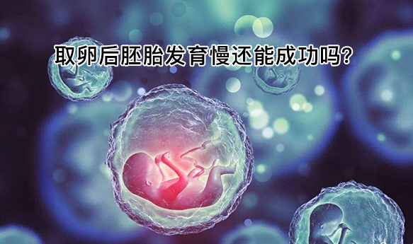 取卵后胚胎发育缓慢能不能成功