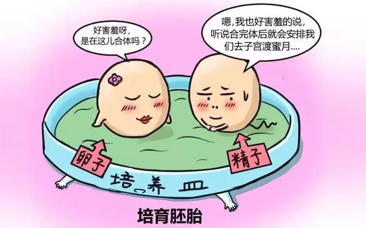 什么是试管婴儿？试管婴儿真的如你想的那样吗